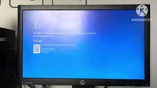 Phoebe Chupi Hit Has Bsod Actualized