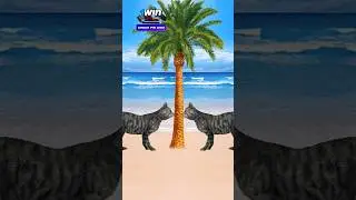 kurbani mubarak vfx islamic video bakra eid mubarak #shorts