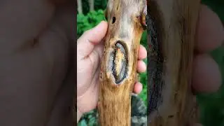 Exclusive forest flute in D. Shamanic flute.
