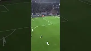 Beautiful team goal! 