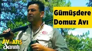 Gümüşdere Domuz Avı Av ve Atış Sanatı Yaban Tv - wild boar hunting