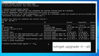 Upgrading All Programs on Windows with Winget