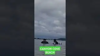 CANYON COVE BEACH