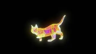 GATO HOLOGRAMA fondo negro