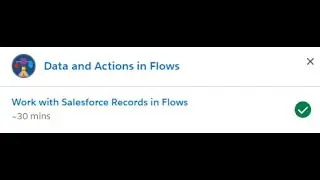 Work with Salesforce Records in Flows Unit Trailhead Solution #91 