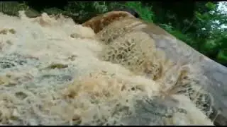 Arlongsoro Water Fall | Barkasorong village | Near Tegheria Water Fall| Sonapur, Kamrup-Metro|