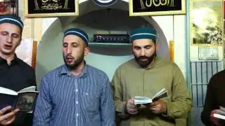 Мавлид