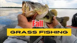 Avoid COMMON Grass Fishing Mistakes...