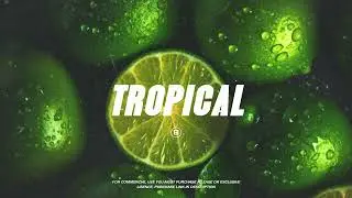"Tropical Wednesday"  -  Burna Boy x Wizkid x Afrobeat type beat | Afrobeat Instrumental 2024 (FREE)