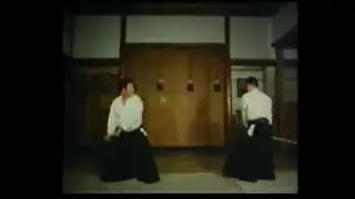 COS'E' L'AIKIDO, ENERGIA, ARMONIA DELL'UNIVERSO