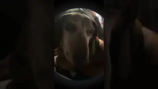 #trend