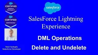 Delete and Undelete DML Statements in Apex