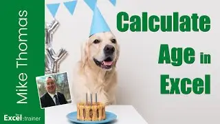 Calculate Age From a Date of Birth in Excel (DATEDIF Function)