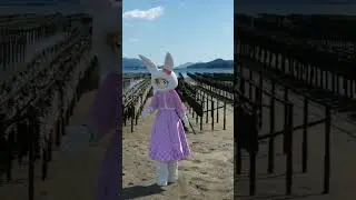 ドリーズーム