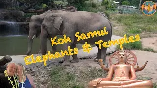 Koh Samui Elephants and Temples 2026