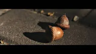 WIND: Canon 600D RAW VIDEO | Magic Lantern