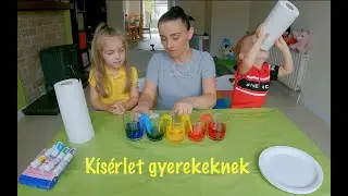 Színes Kísérletek gyerekeknek | Zoe és Boti | DIY | Kreatív ötletek