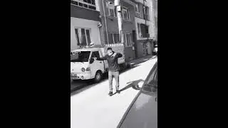 Amatör ses - Son ütücü