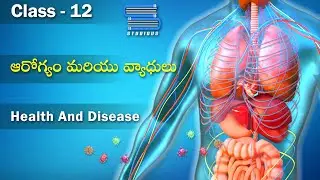 ఆరోగ్యం మరియు వ్యాధులు – Health and Diseases | Biology Telugu  | Class 12 Bipc 2nd year