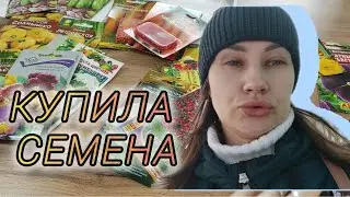 Покупка семян 🌱 Взошла Петуния🌺