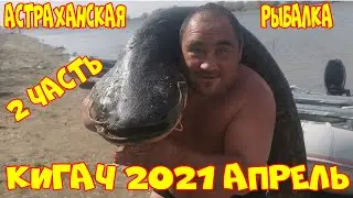 Астраханская рыбалка. Кигач 2021 апрель. Вобла, судак, жерех.