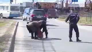 Джентльмены удачи