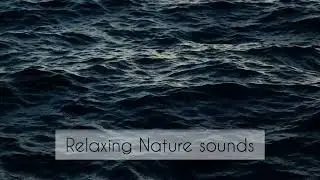 Healing music||Stress relief||Stop anxiety||Deep sleep and relax with sound of the beautiful music.