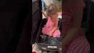 Повезу с собой клопов