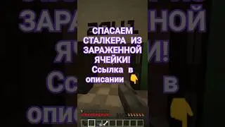 СПАСАЕМ СТАЛКЕРА ИЗ ОПАСНОЙ ЯЧЕЙКИ! 