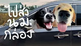 ไปส่งนมกล่อง