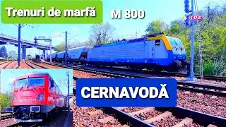 Trenuri de marfa / CERNAVODA / M 800