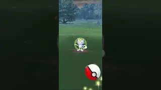 Alola Meowth encounter!