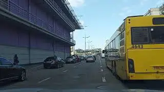 Олень вышел из бассейна.