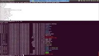 UNIX 1 3 UNIX Commands and Options
