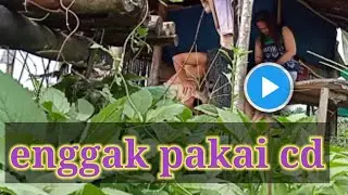 ngintip dari selah p4h4k llmante/ bunian