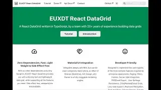 React DataGrid Filters