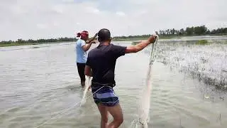 বন্ধুদের সাথে পুটি মাছ ধরার মজার দিন: হাসি-খুশির মুহূর্ত