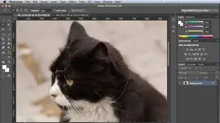 Adobe Photoshop Foto Manipülasyon