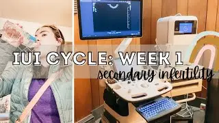 IUI CYCLE || ULTRASOUND AND CLOMID || WEEK ONE || SECONDARY INFERTILITY || TTC BABY #3