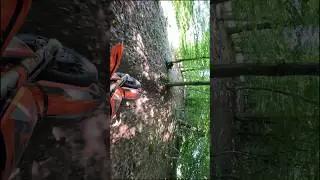 Beautiful ride in the Forest 🌲 ENDURO in Nature 🍀 #enduro #2stroke #2t #dirtbike