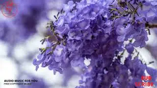🎶 Bab Tista-Text Me Records / GrandBankss 🎧 Pop|inspiring [FREE] Music For Content Creators [3:01] 🎶
