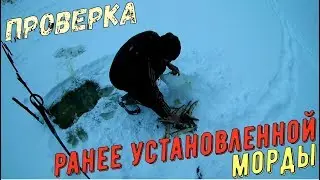 ПРОВЕРКА МОРДЫ/ЛОВЛЯ НА МОРДЫ/ЩУЧКА В ЛОВУШКЕ/PIPE IN TRAP