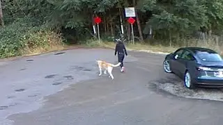 Dog Owner Leaves Pooch at Park, Pup Ends Up In Shelter
