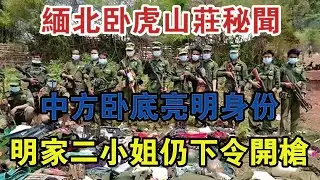 緬北臥虎山莊秘聞：中方臥底亮明身份，明家二小姐仍下令開槍 #大案紀實 #刑事案件 #案件解說