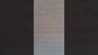 papel de parede