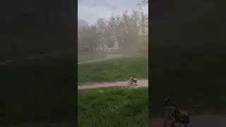 8 мая 2024 г.