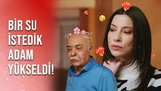 Alev'in büyüsünü kimse hafife almasın! 🧙‍♀️ | Alev Arslan