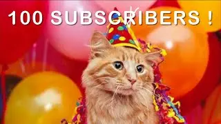 Cat City Network- 100 Subscribers celebration