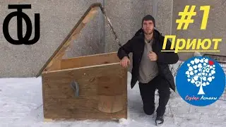 ПОДАРИЛИ будку самому КРУПНОМУ приюту СТОЛИЦЫ...