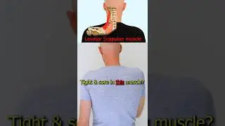Levator Scapulae Trigger Point Release